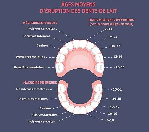 informations générales dentaires Guilherand granges